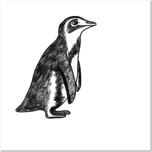 Cute penguin Posters and Art